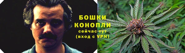 твердый Аркадак