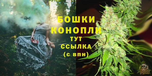 твердый Аркадак