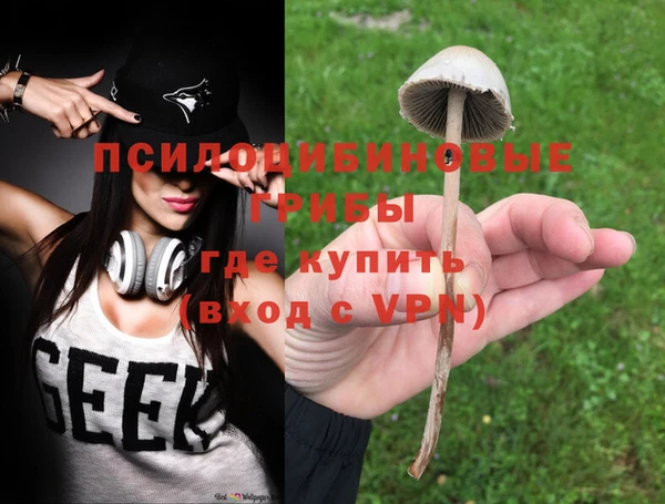 твердый Аркадак