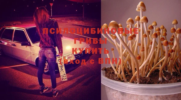 молекула духа Армянск