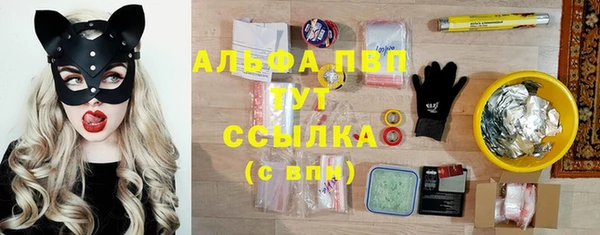 молекула духа Армянск